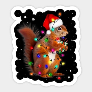 Squirrel Christmas Hat Santa Pajama Squirrels Lover Sticker